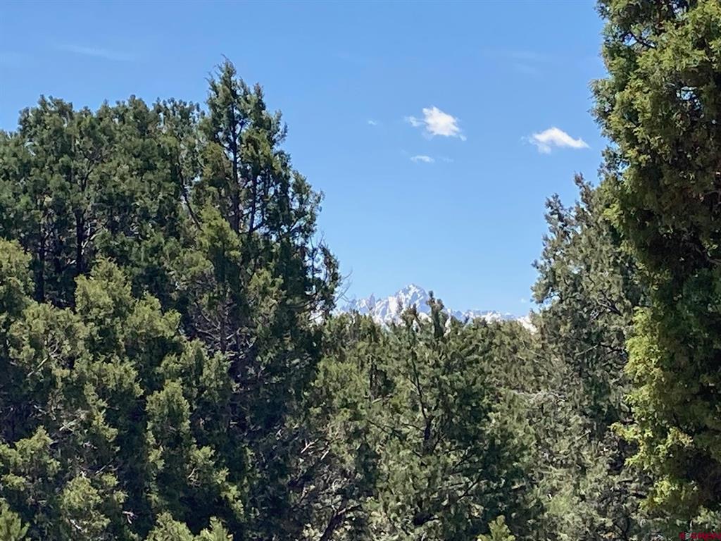 Lot 3 (TBD) County Road 22b Montrose CO 81403