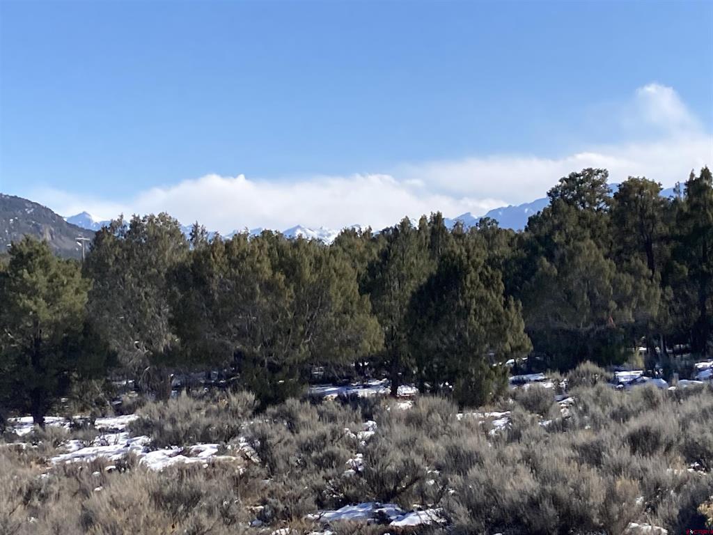 Lot 3 (TBD) County Road 22b Montrose CO 81403