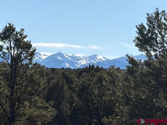 Lot 3 (TBD) County Road 22b Montrose CO 81403