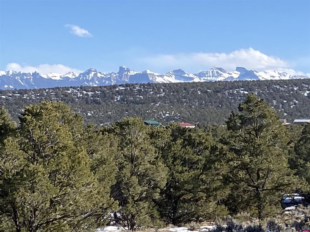 Lot 3 (TBD) County Road 22b Montrose CO 81403