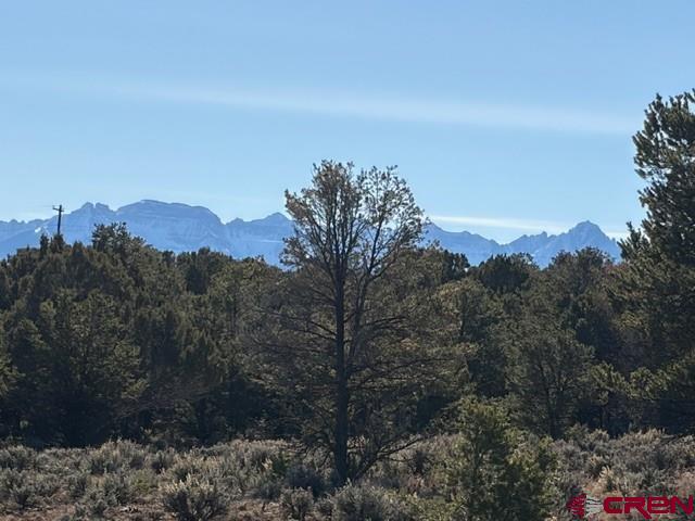 Lot 3 (TBD) County Road 22b Montrose CO 81403