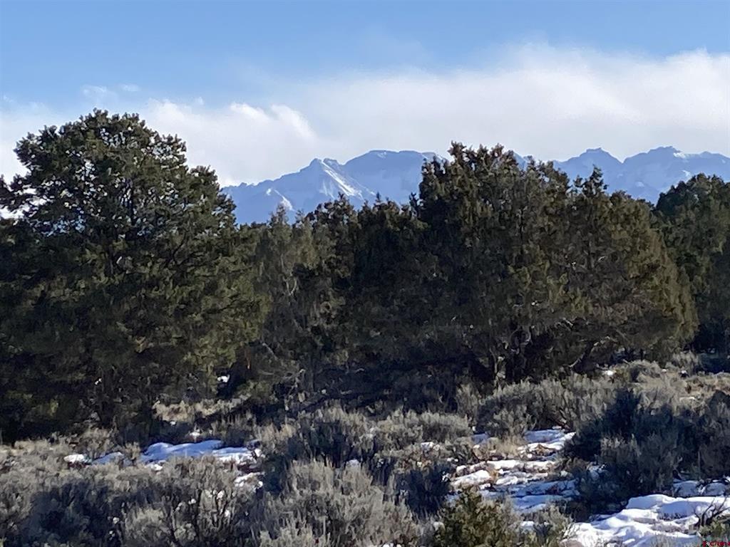 Lot 3 (TBD) County Road 22b Montrose CO 81403