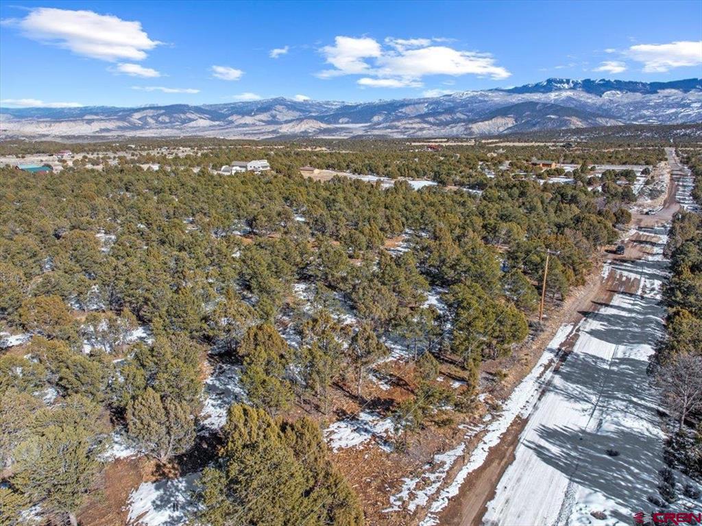 Lot 3 (TBD) County Road 22b Montrose CO 81403