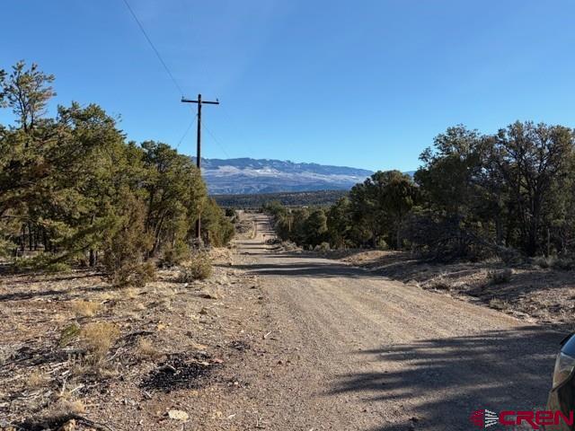 Lot 3 (TBD) County Road 22b Montrose CO 81403