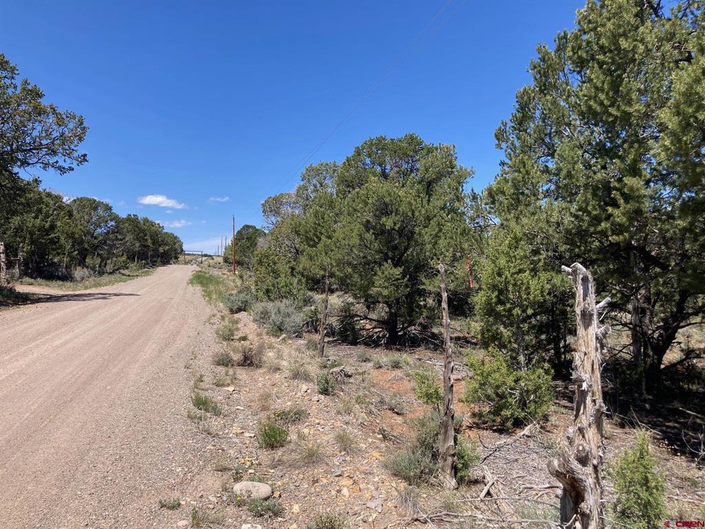 Lot 3 (TBD) County Road 22b Montrose CO 81403