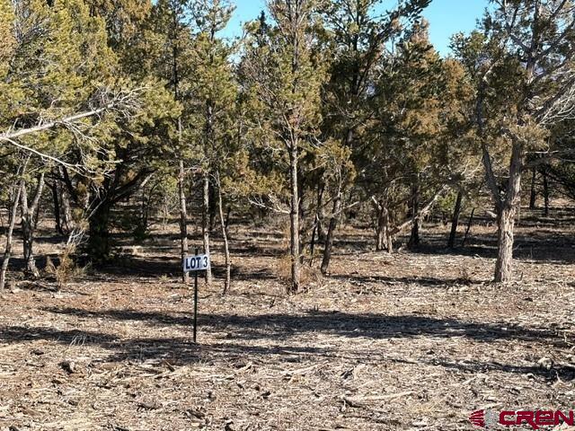 Lot 3 (TBD) County Road 22b Montrose CO 81403