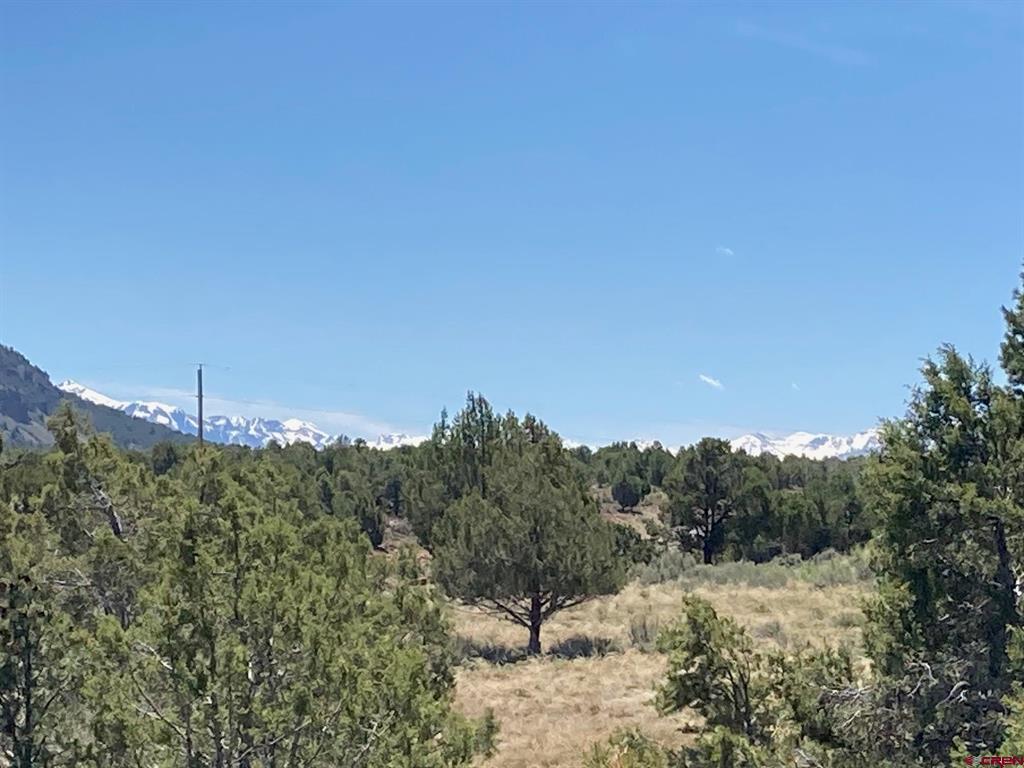Lot 3 (TBD) County Road 22b Montrose CO 81403