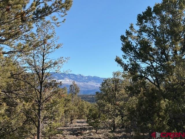 Lot 3 (TBD) County Road 22b Montrose CO 81403