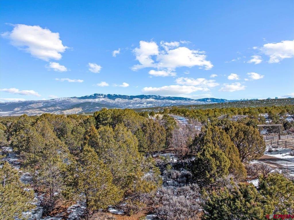 Lot 3 (TBD) County Road 22b Montrose CO 81403