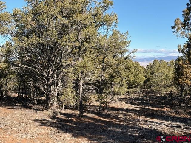 Lot 3 (TBD) County Road 22b Montrose CO 81403