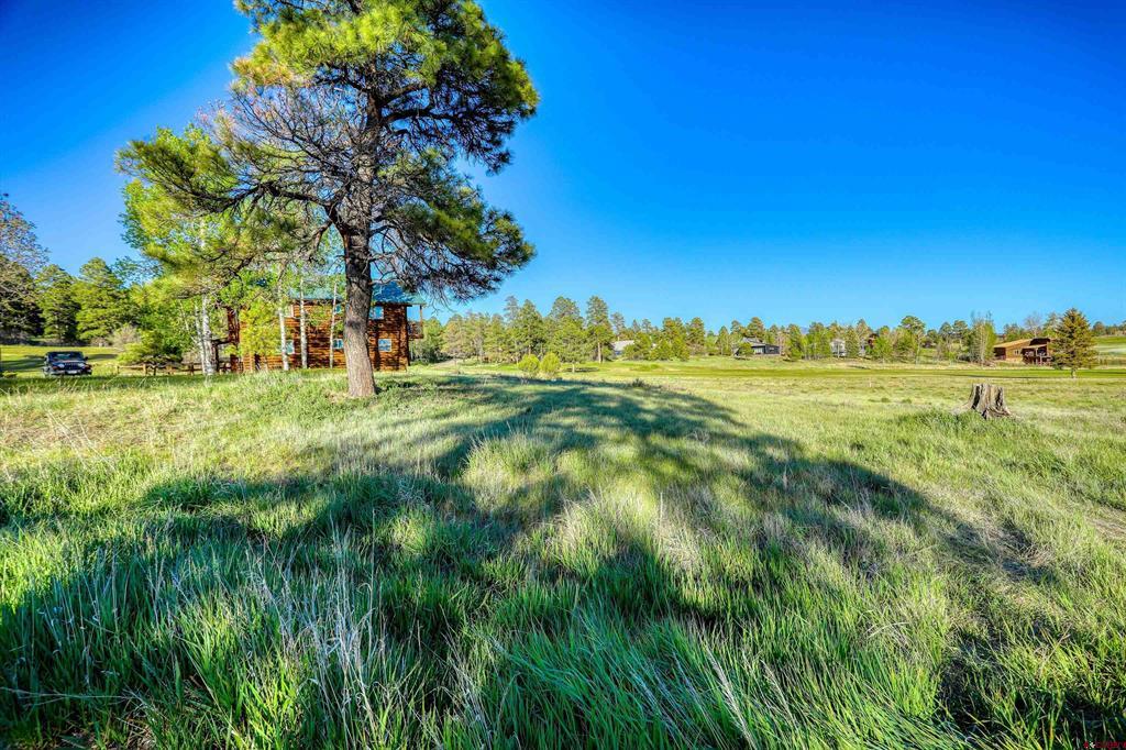Pagosa Springs CO, 28 Divot