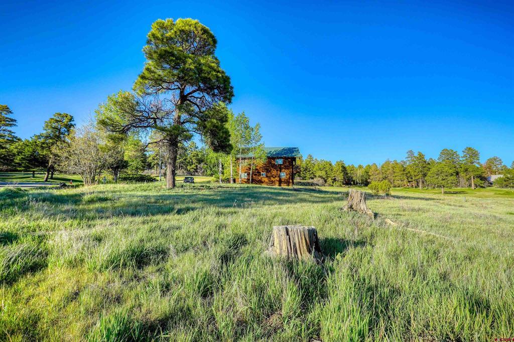 28 Divot Place Pagosa Springs CO 81147