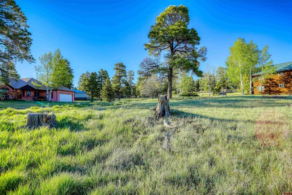 28 Divot Place Pagosa Springs CO 81147