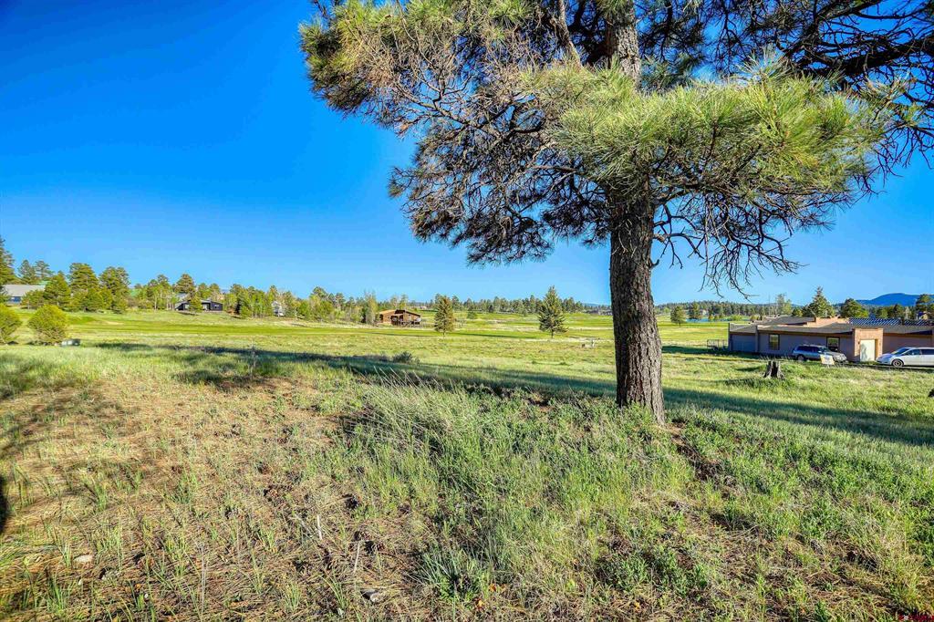 28 Divot Place Pagosa Springs CO 81147