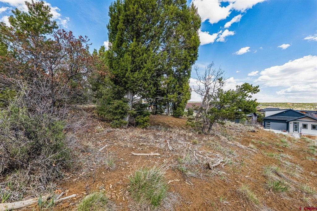 7 Salt Brush Street Durango CO 81301
