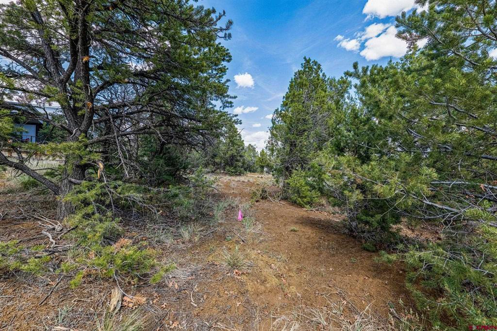 7 Salt Brush Street Durango CO 81301