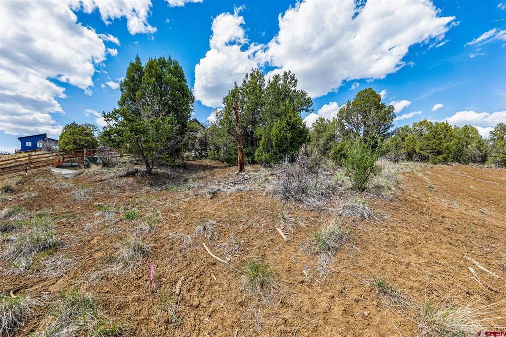 7 Salt Brush Street Durango CO 81301