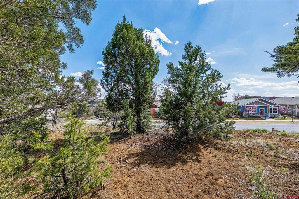 7 Salt Brush Street Durango CO 81301