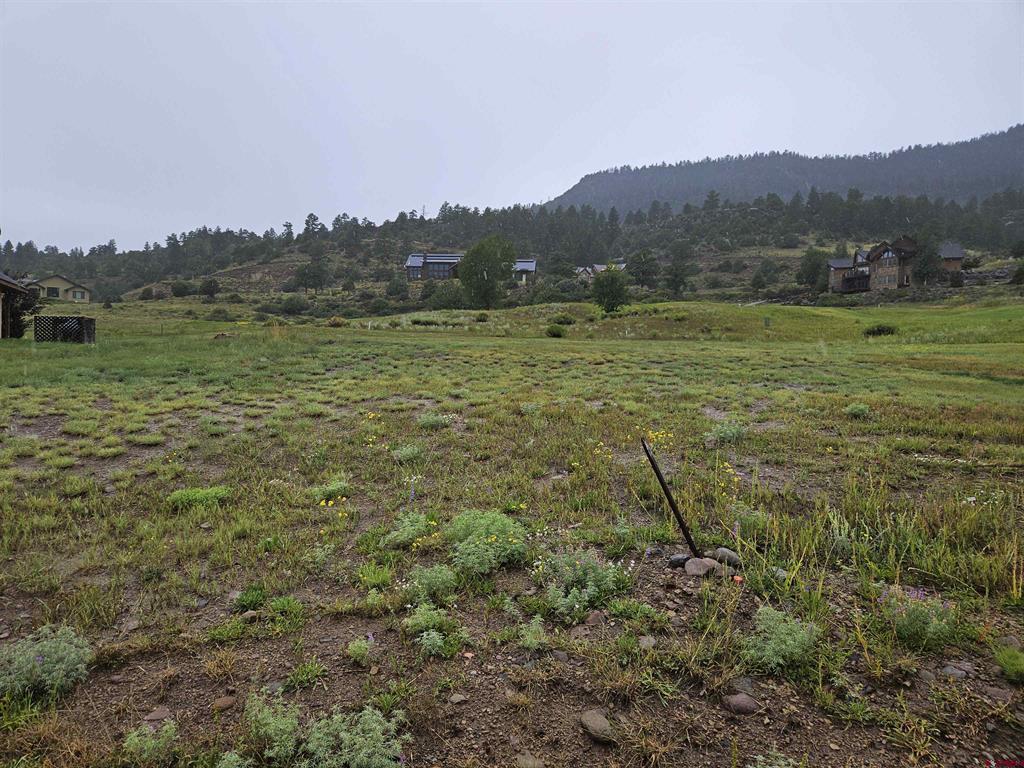 31 Greenside Court South Fork CO 81154