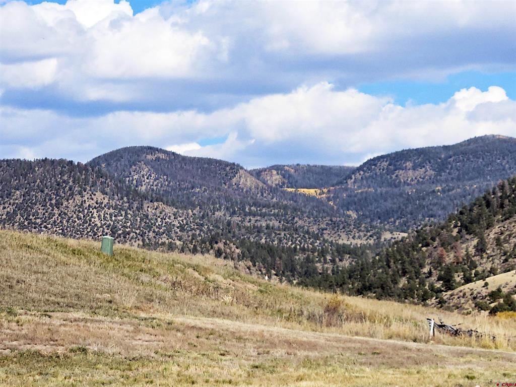 31 Greenside Court South Fork CO 81154