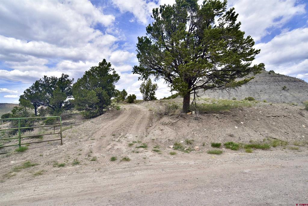 Tbd 62 Highway Ridgway CO 81432