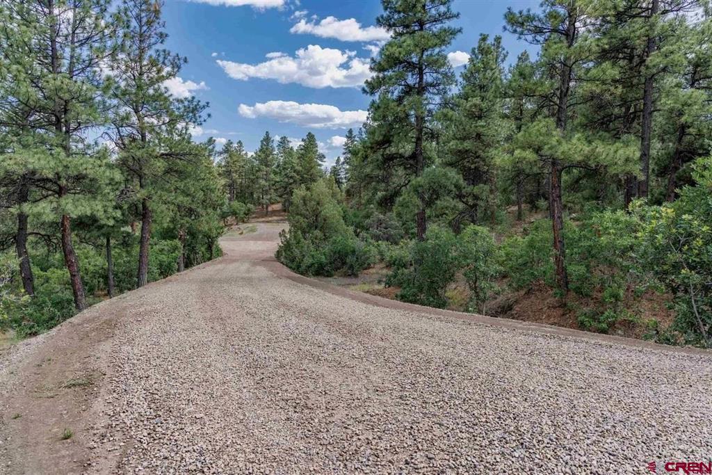 511 Cool Pines Drive Pagosa Springs CO 81147