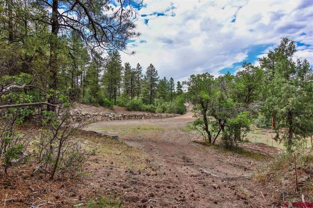 511 Cool Pines Drive Pagosa Springs CO 81147