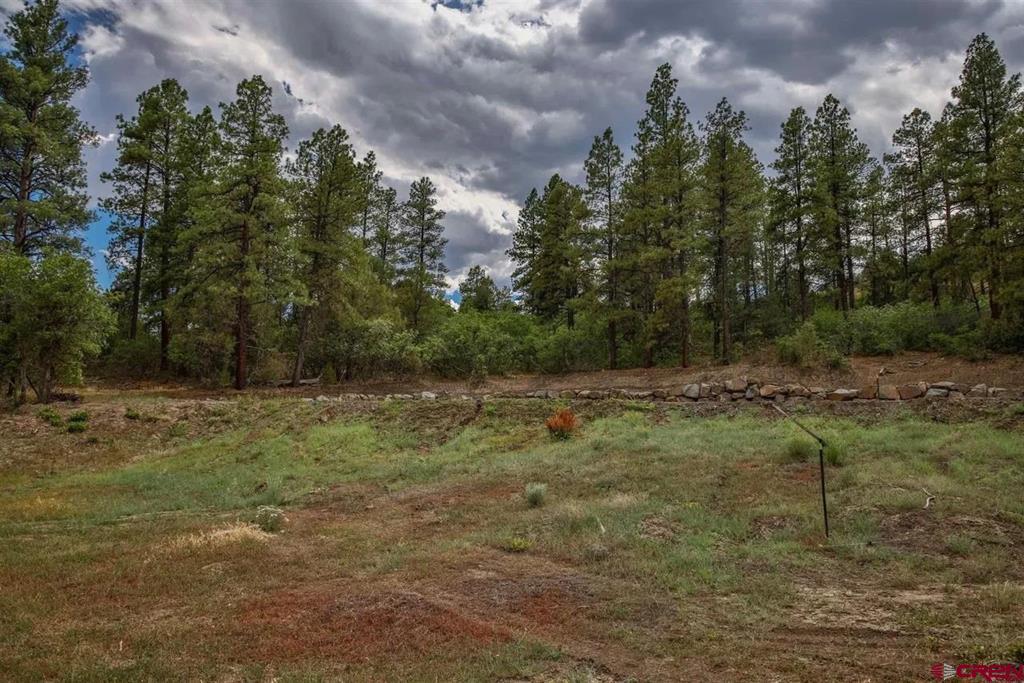 511 Cool Pines Drive Pagosa Springs CO 81147