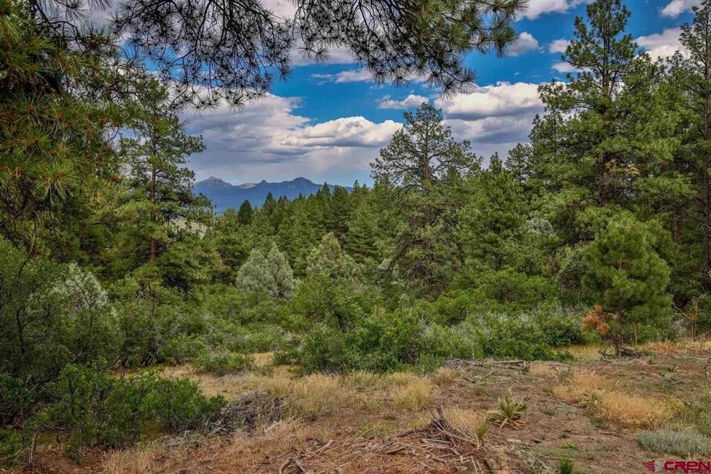 511 Cool Pines Drive Pagosa Springs CO 81147