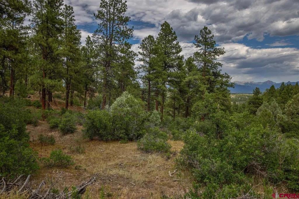 511 Cool Pines Drive Pagosa Springs CO 81147