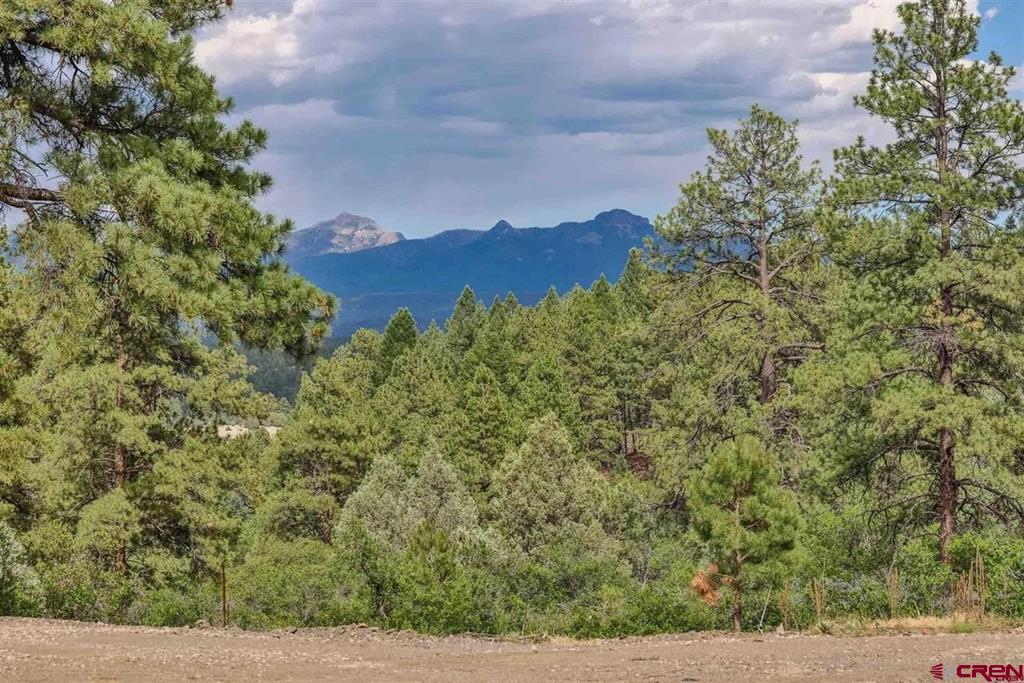 511 Cool Pines Drive Pagosa Springs CO 81147
