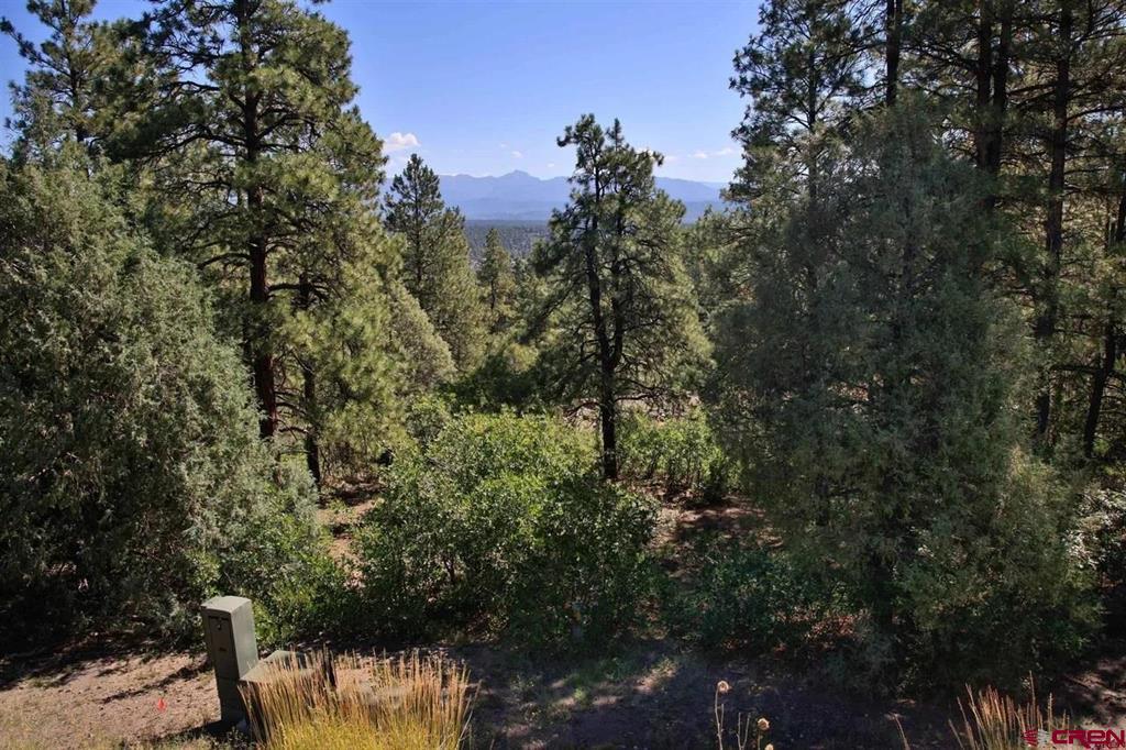 511 Cool Pines Drive Pagosa Springs CO 81147