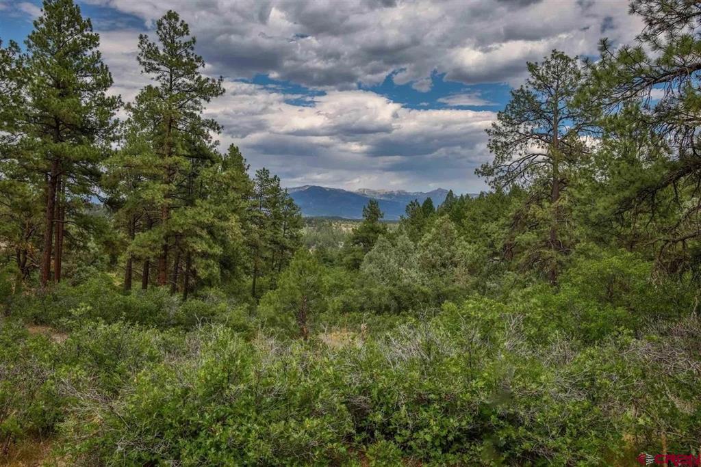 511 Cool Pines Drive Pagosa Springs CO 81147