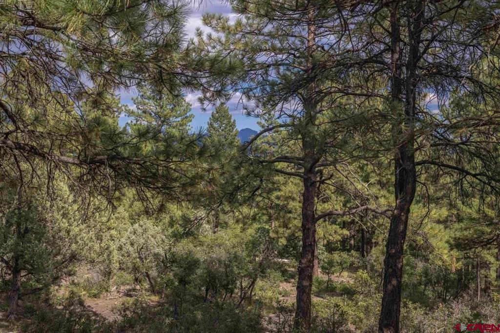 511 Cool Pines Drive Pagosa Springs CO 81147