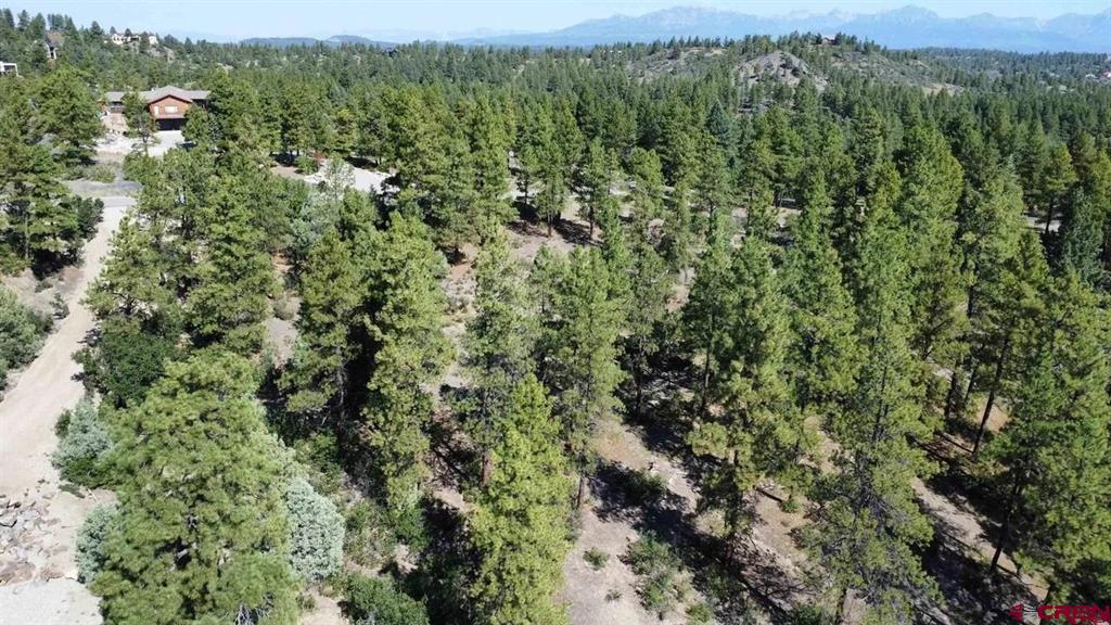 511 Cool Pines Drive Pagosa Springs CO 81147