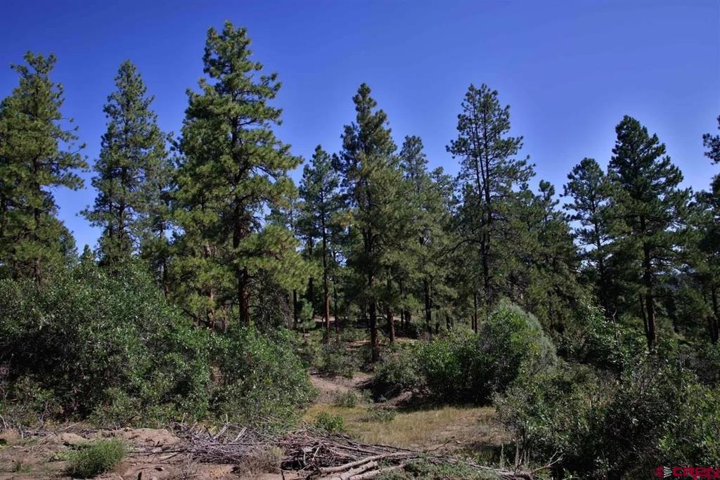 511 Cool Pines Drive Pagosa Springs CO 81147