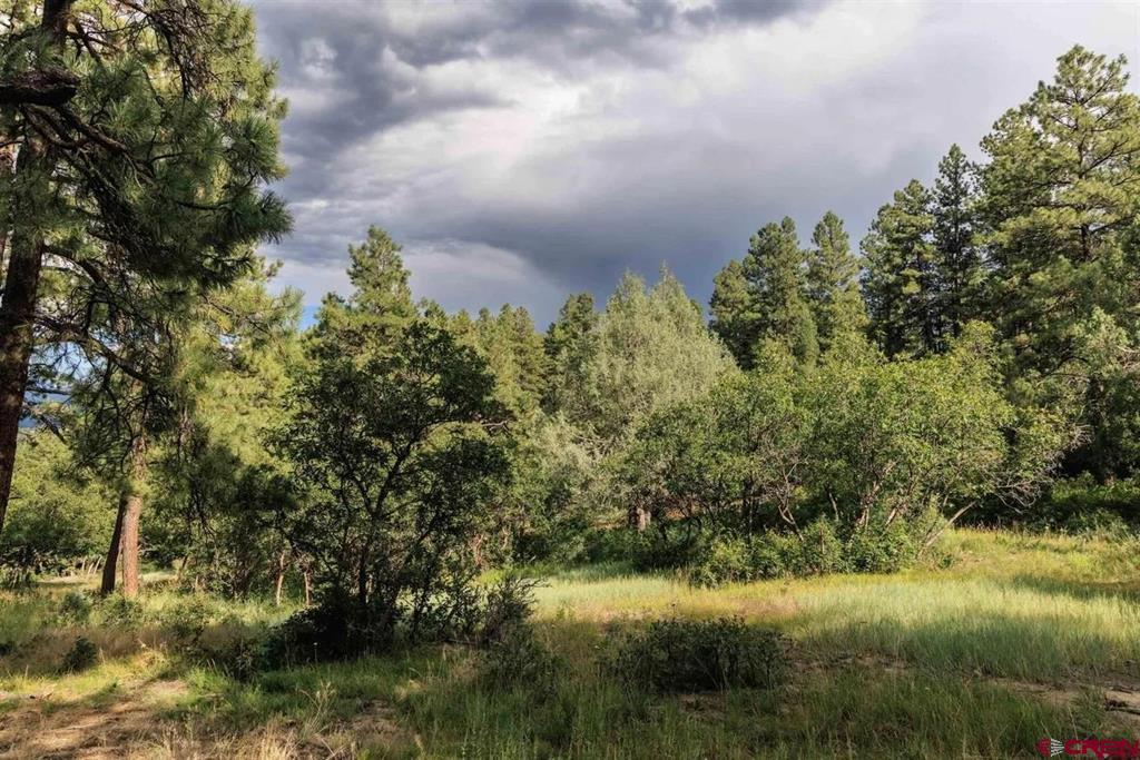 511 Cool Pines Drive Pagosa Springs CO 81147