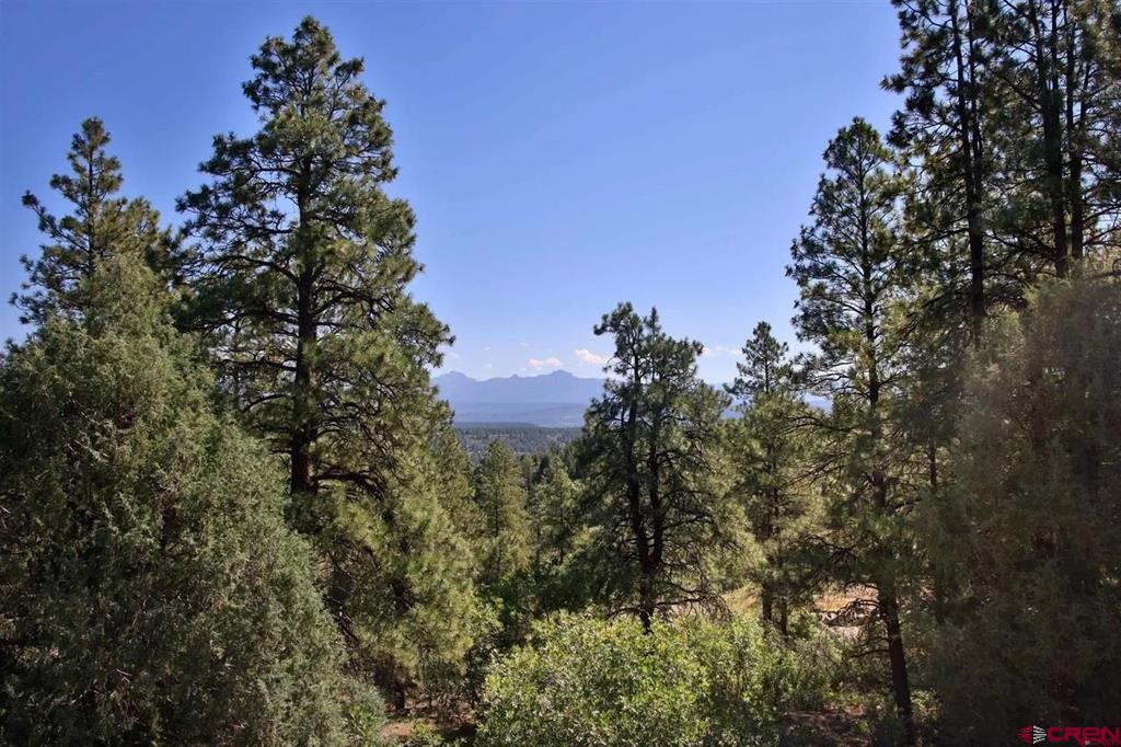 511 Cool Pines Drive Pagosa Springs CO 81147