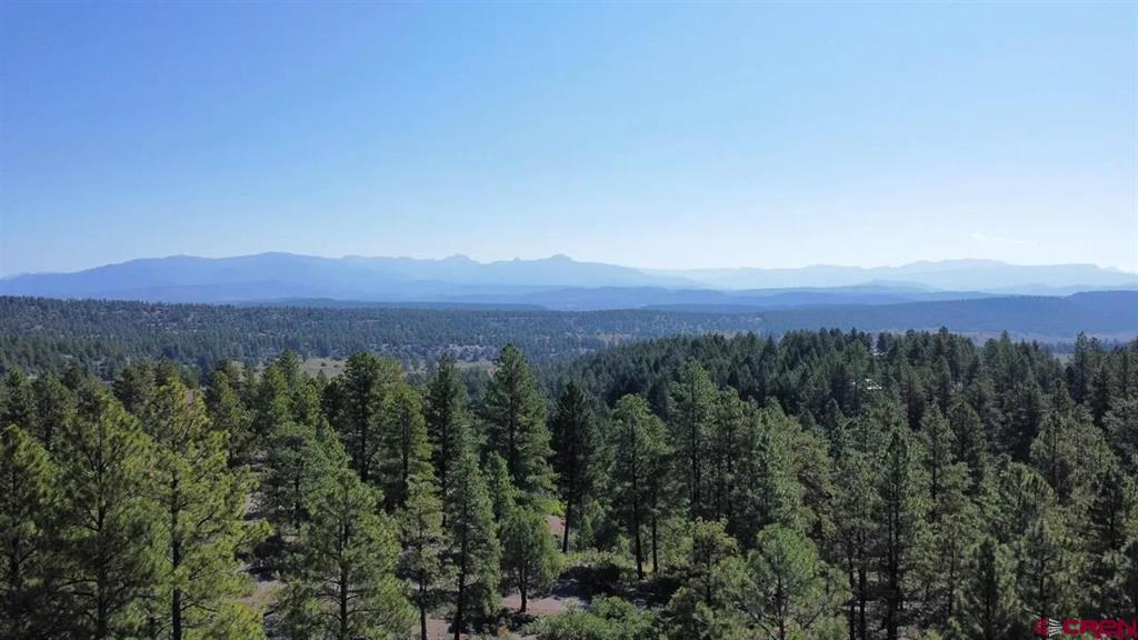 511 Cool Pines Drive Pagosa Springs CO 81147