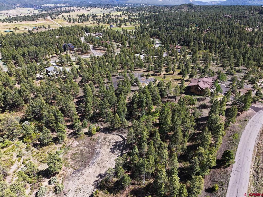 511 Cool Pines Drive Pagosa Springs CO 81147
