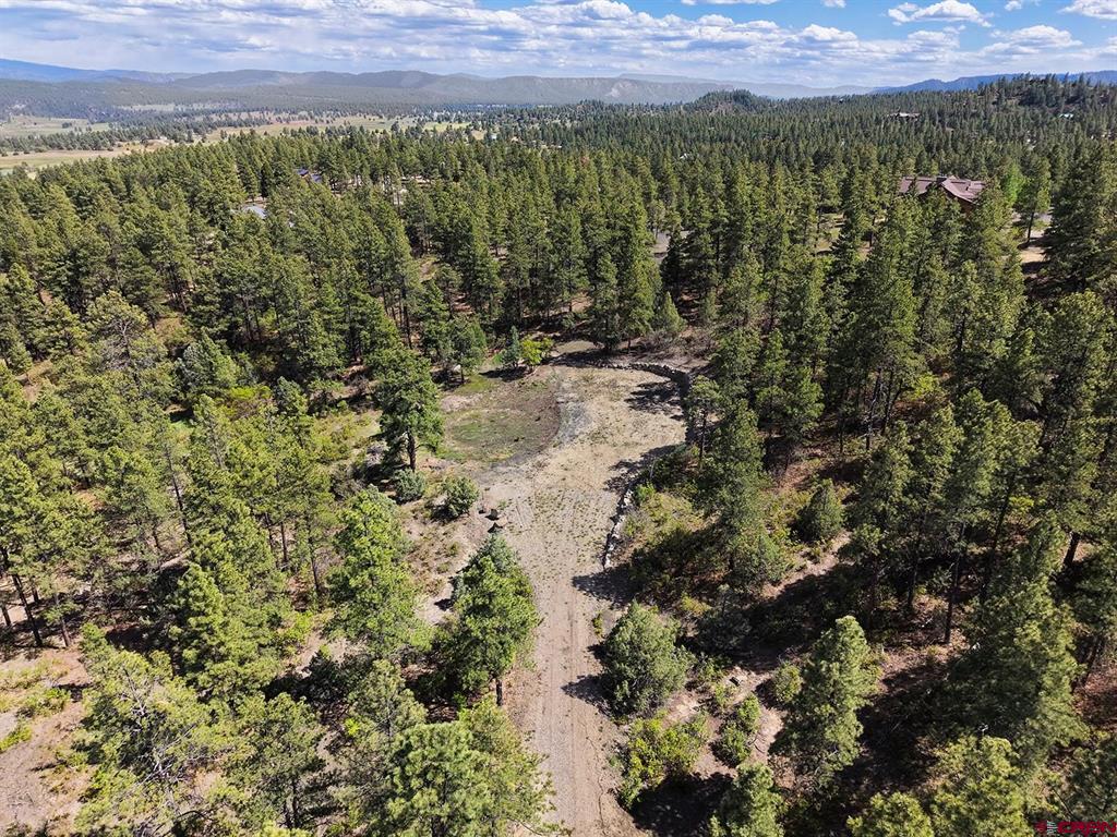 511 Cool Pines Drive Pagosa Springs CO 81147
