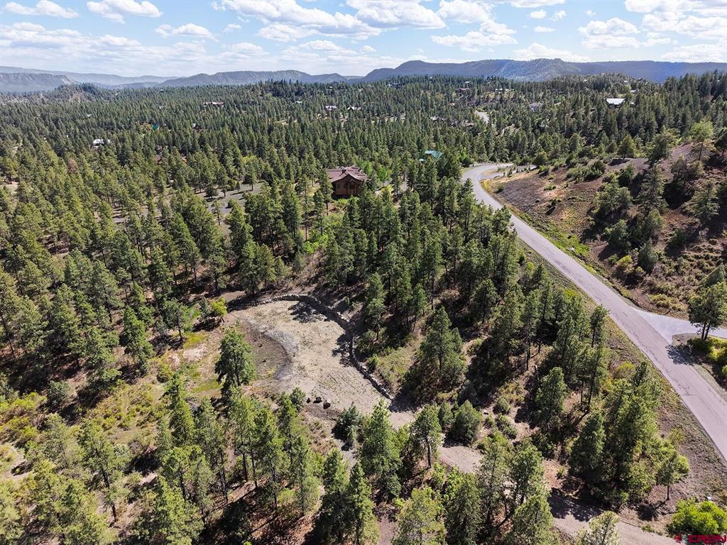 511 Cool Pines Drive Pagosa Springs CO 81147