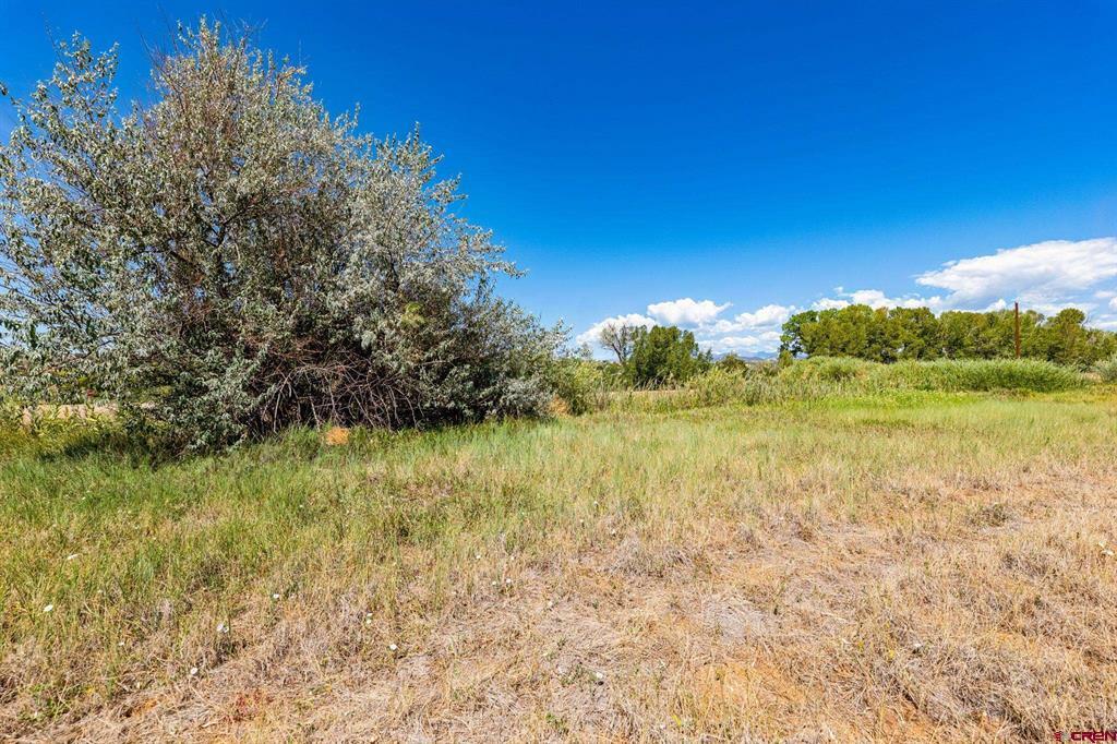 44 County Road 225a Durango CO 81301