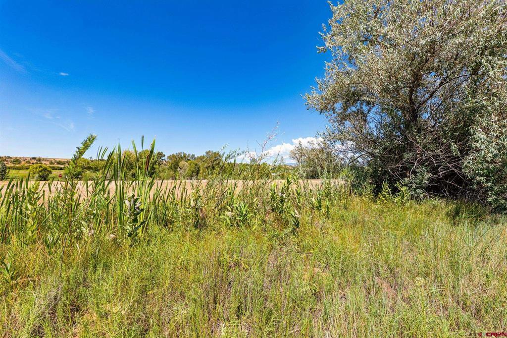 44 County Road 225a Durango CO 81301