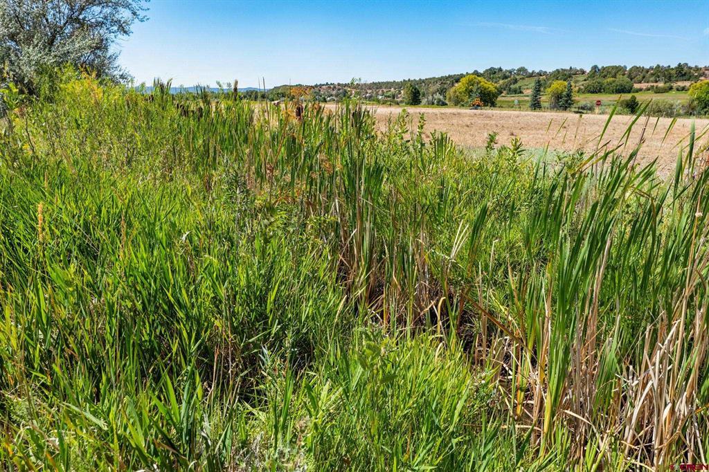 44 County Road 225a Durango CO 81301