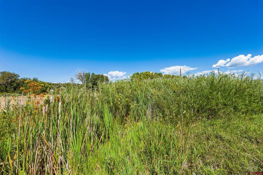 44 County Road 225a Durango CO 81301