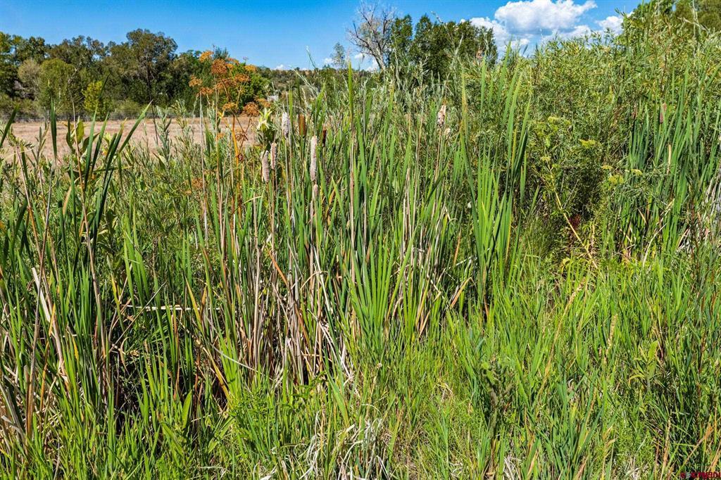44 County Road 225a Durango CO 81301