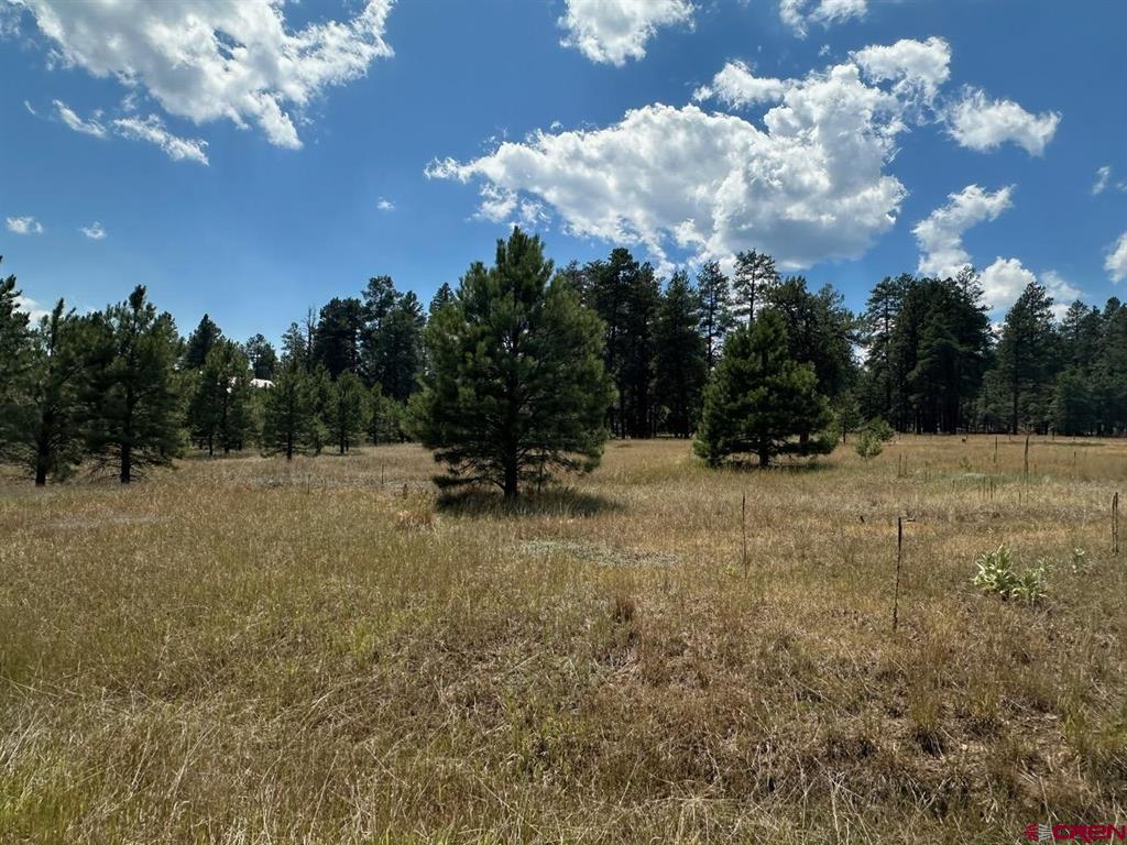 272 Hills Circle Pagosa Springs CO 81147