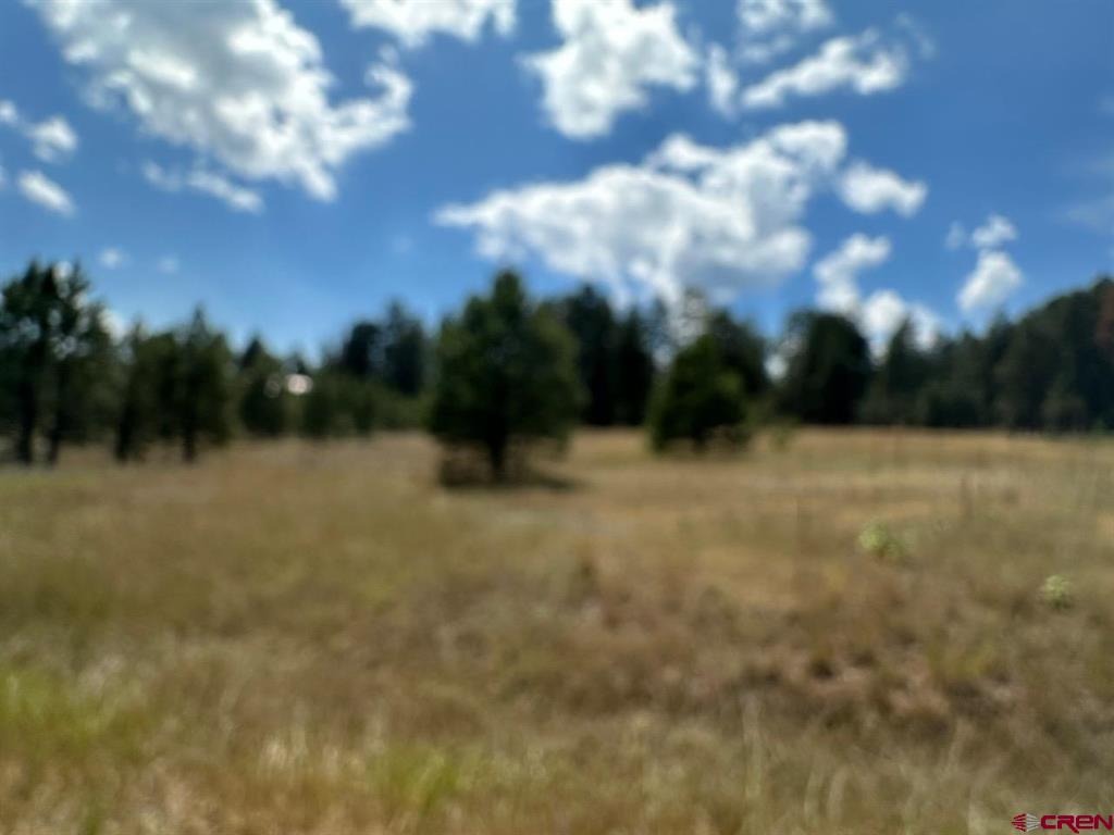 272 Hills Circle Pagosa Springs CO 81147