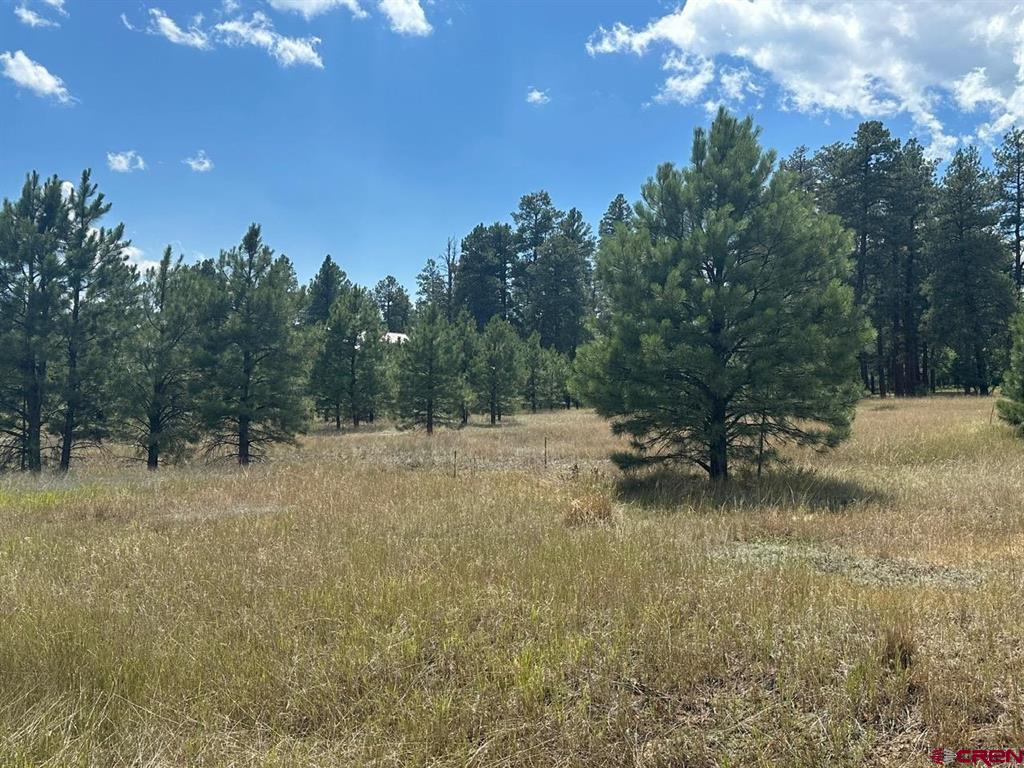 272 Hills Circle Pagosa Springs CO 81147